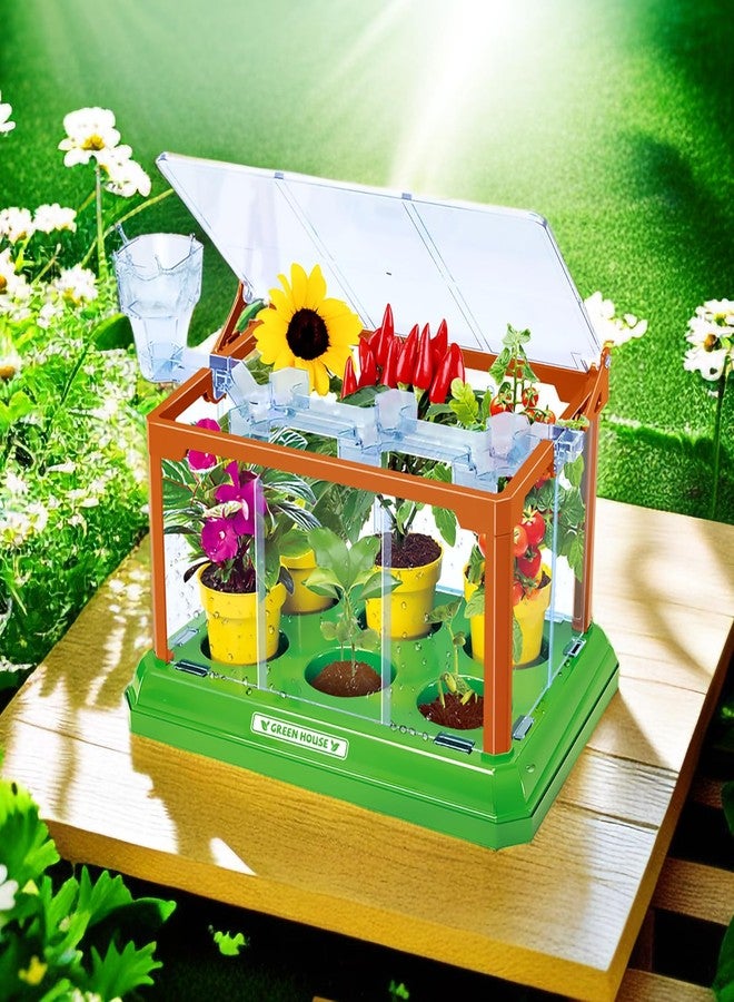 EXBEPE Kids Gardening Kit Greenhouse Growing Terrarium Kit Plant Growing Set Discovery Educational Gardening Gift for Boy & Girl - Image 5